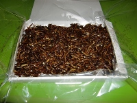 愛知県碧南大浜産　生炊き小女子佃煮　500g